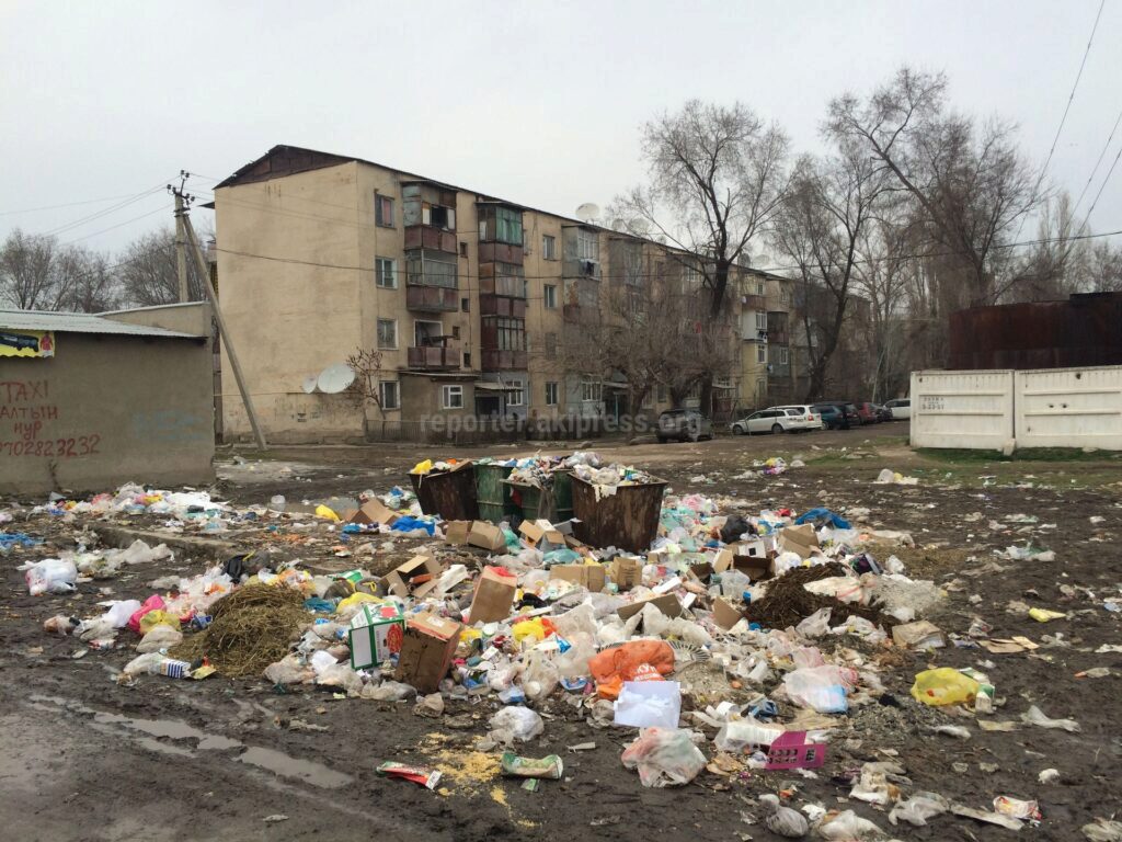 Штрафы за мусор составят от 3 до 50 тысяч рублей